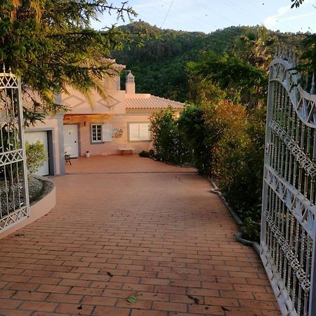Willa Casa Loureiro - Vista Rio Douro Resende Zewnętrze zdjęcie