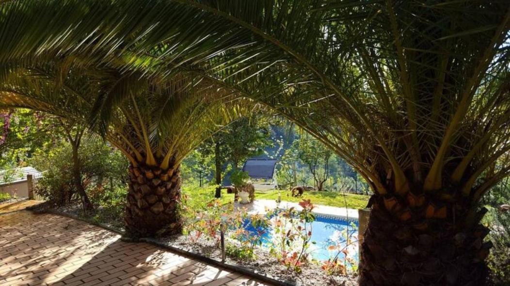 Willa Casa Loureiro - Vista Rio Douro Resende Zewnętrze zdjęcie
