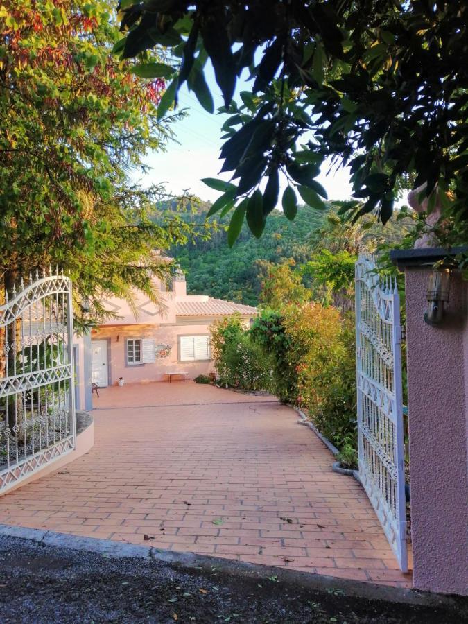 Willa Casa Loureiro - Vista Rio Douro Resende Zewnętrze zdjęcie