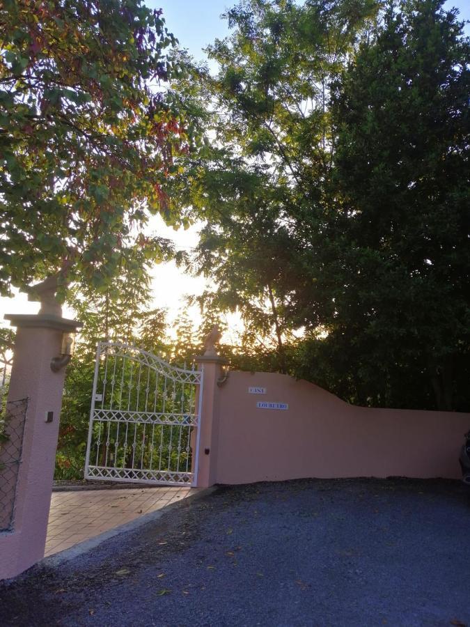 Willa Casa Loureiro - Vista Rio Douro Resende Zewnętrze zdjęcie