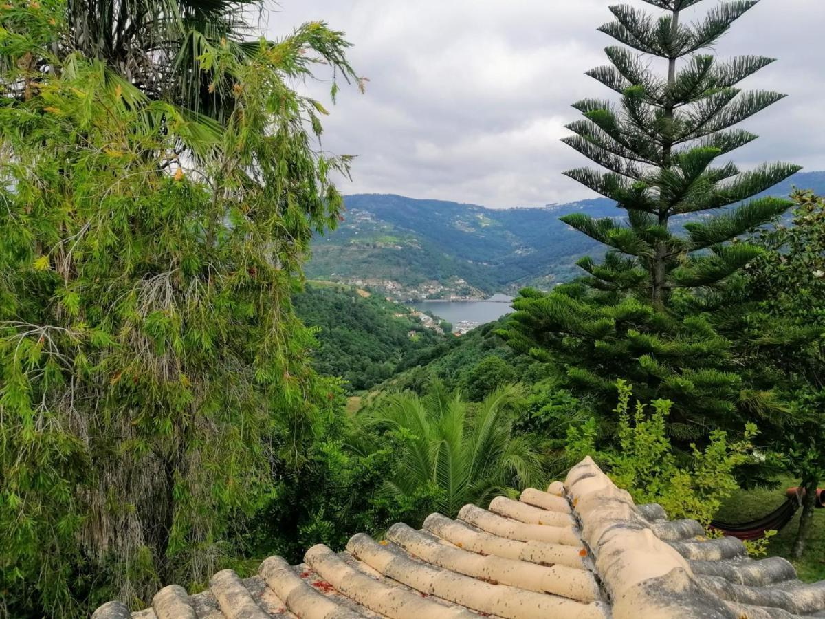 Willa Casa Loureiro - Vista Rio Douro Resende Zewnętrze zdjęcie