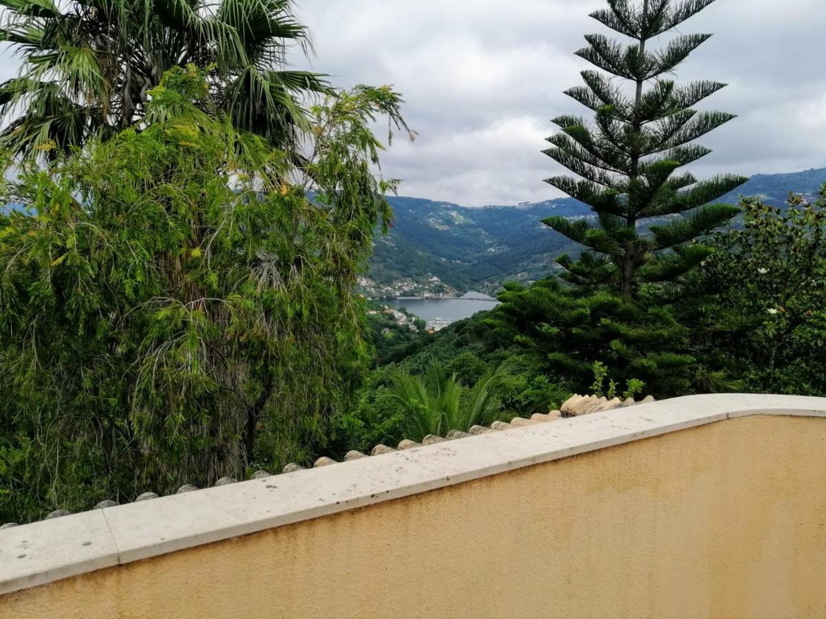 Willa Casa Loureiro - Vista Rio Douro Resende Zewnętrze zdjęcie