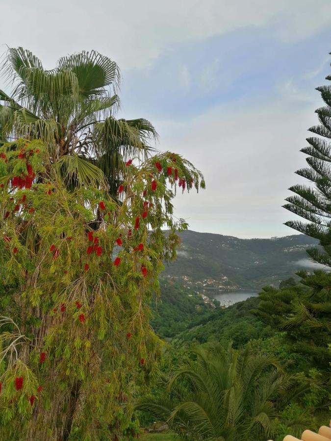 Willa Casa Loureiro - Vista Rio Douro Resende Zewnętrze zdjęcie
