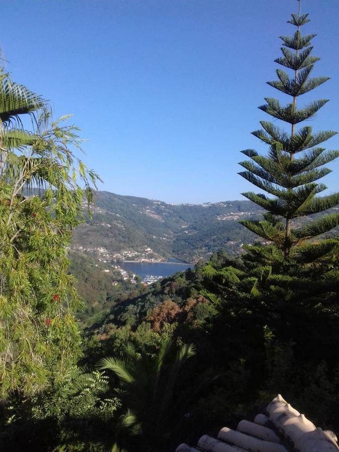 Willa Casa Loureiro - Vista Rio Douro Resende Zewnętrze zdjęcie